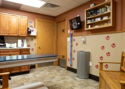 Pinecrest Animal Hospital exam room