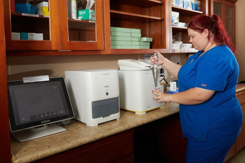 Pinecrest Animal Hospital in house laboratory