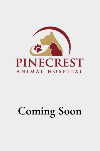 Coming soon image